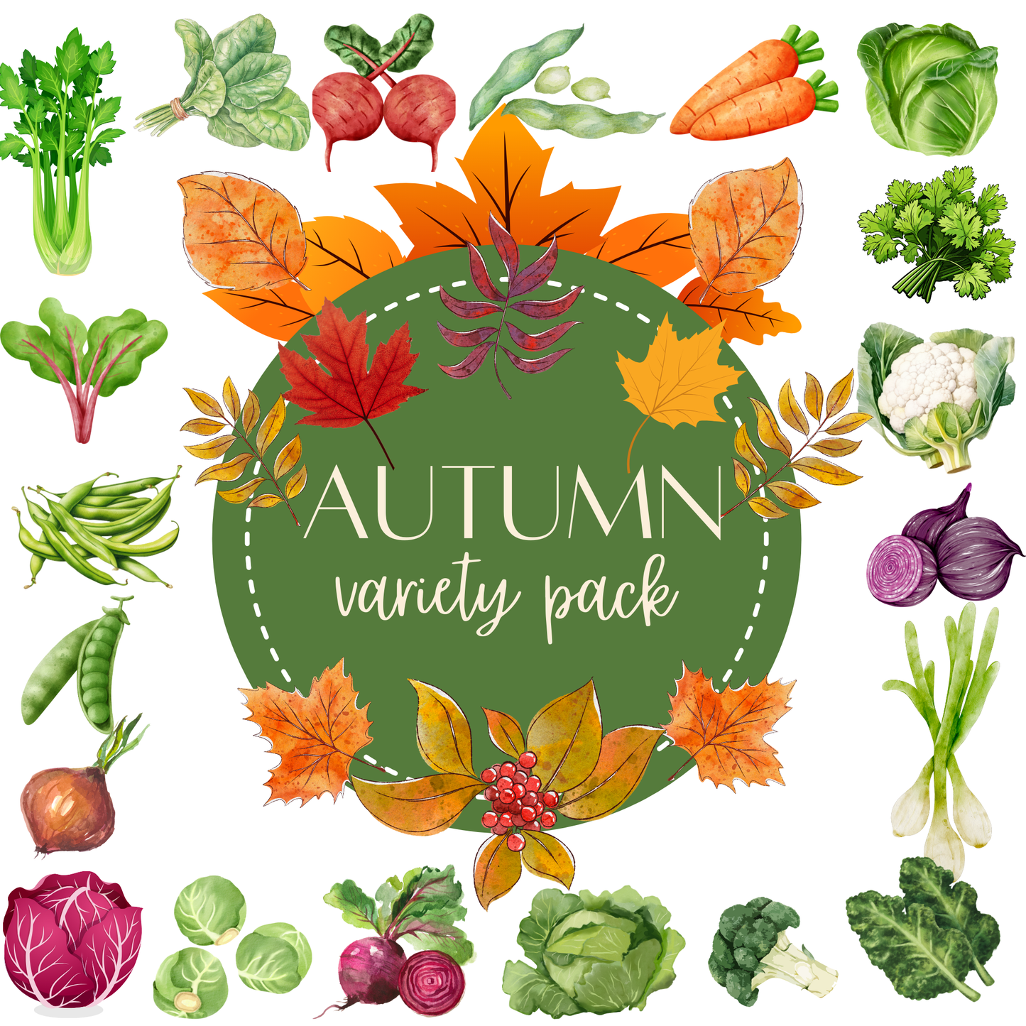 Autumn Vegetable Selection