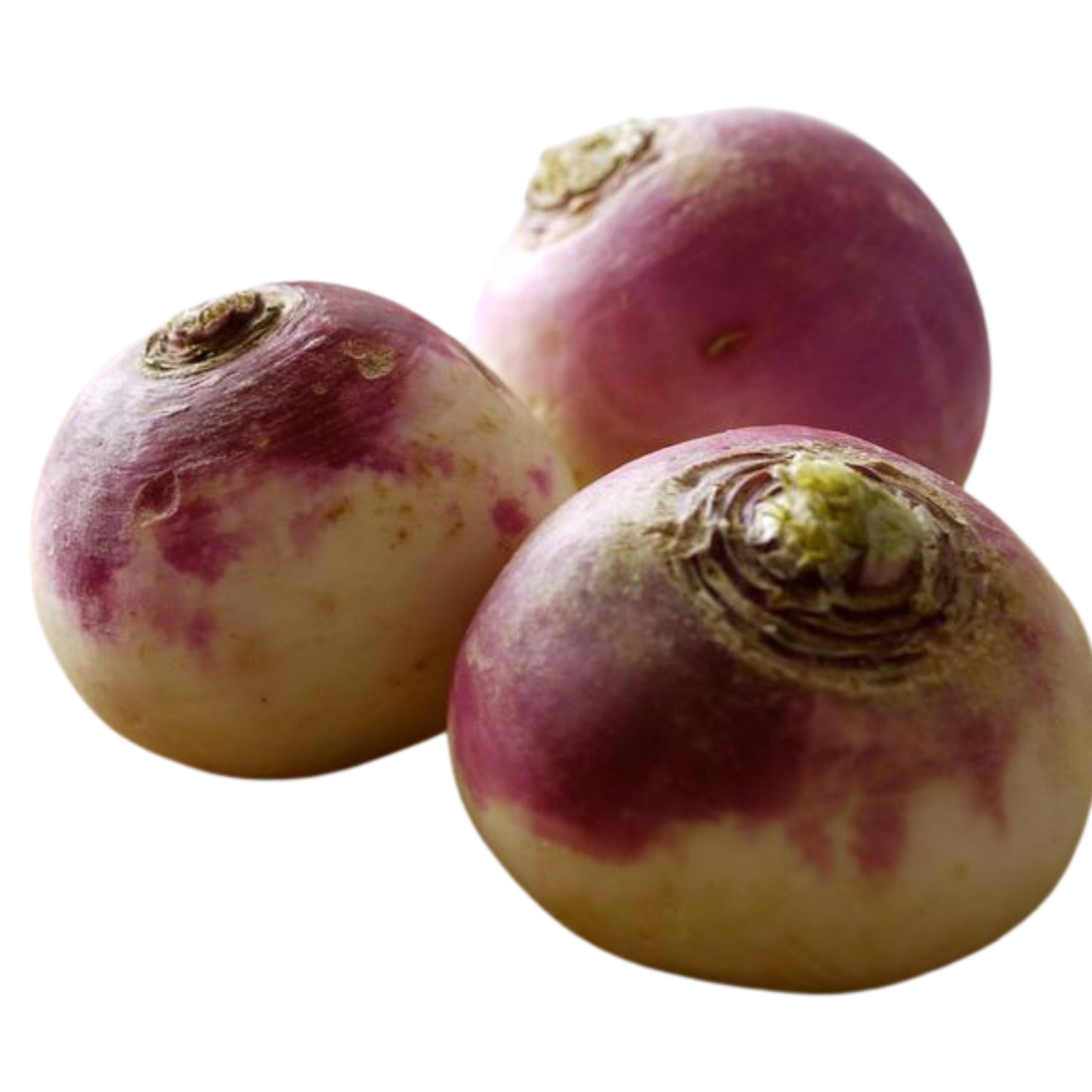 Purple Top Turnip - 5 gram