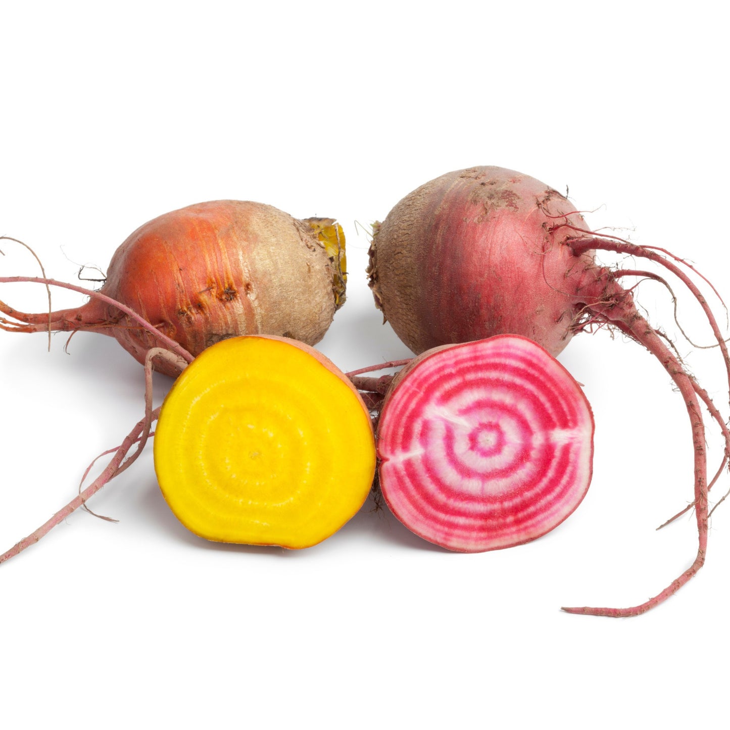 Rainbow Mix Beetroot - 50 Seeds