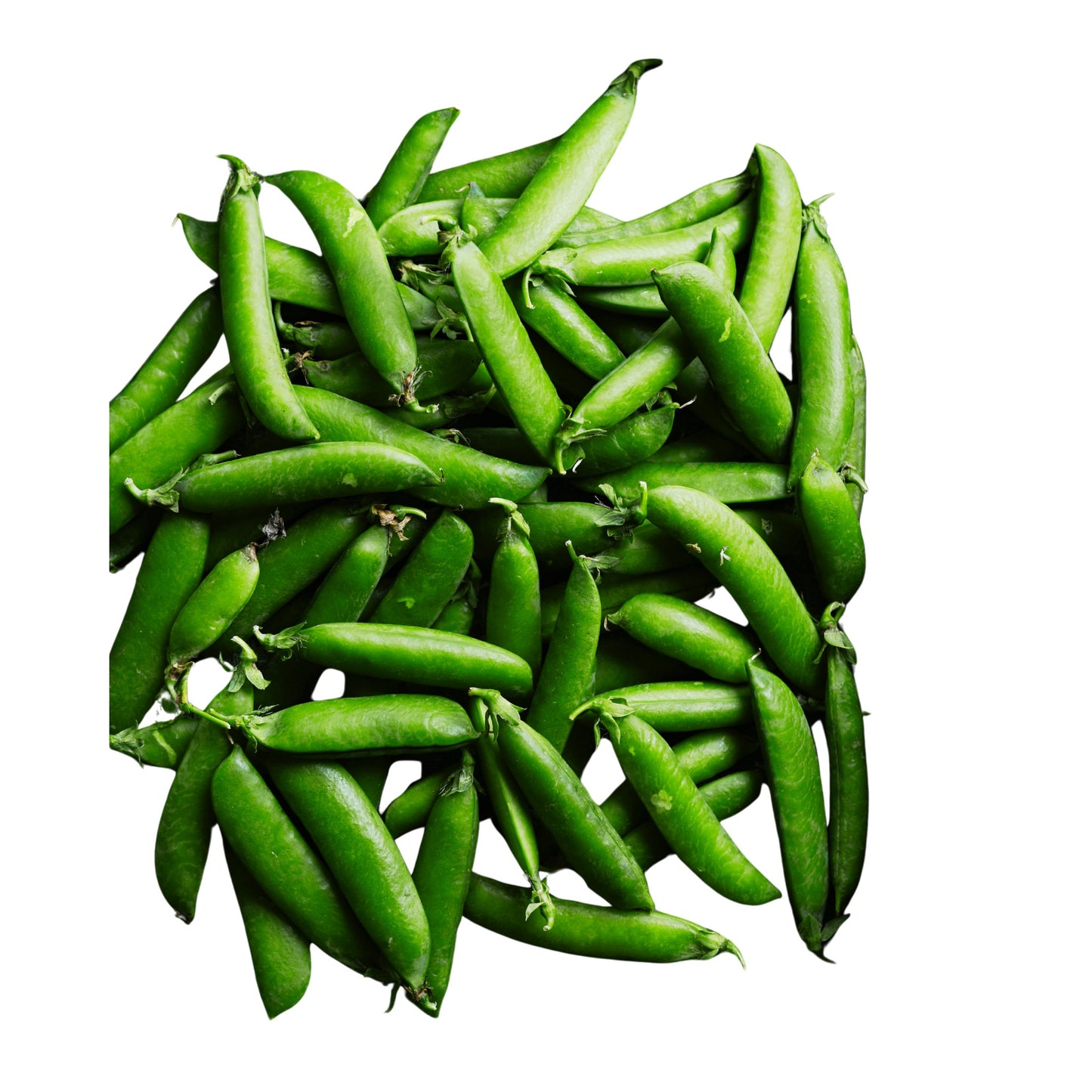 Sugar Ann Peas - 10 seeds