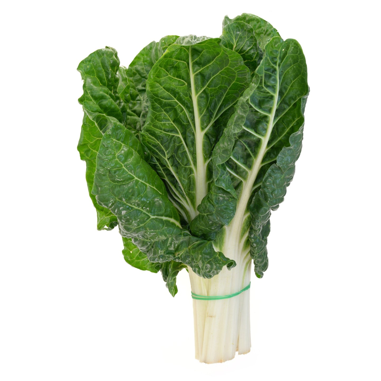 Spinach Swiss Chard - Fordhook Giant - 10 Seeds