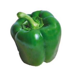 Capsicum California Wonder - 10 Seeds