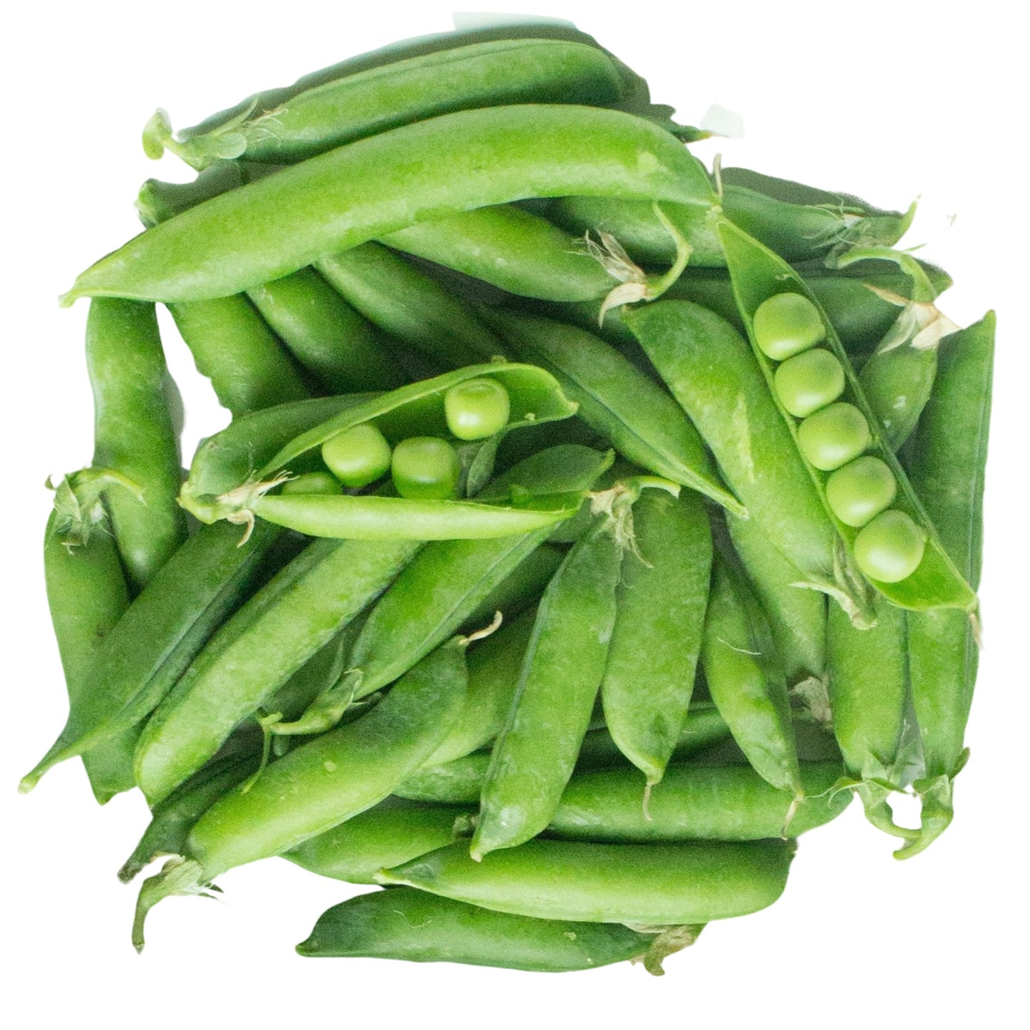 Greenfeast Peas - 10 seeds