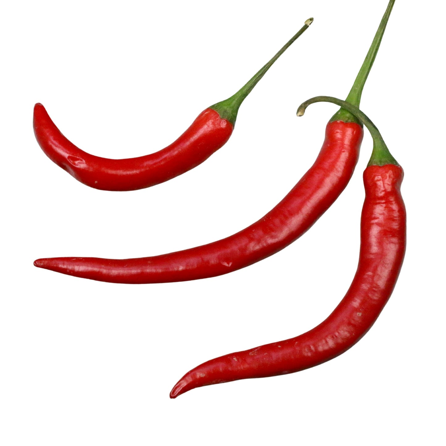 Capsicum Long Slim Red Cayenne - 20 Seeds
