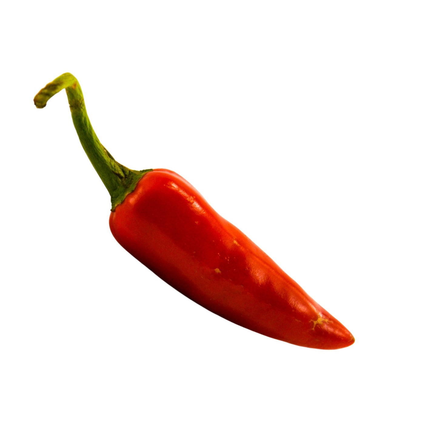 Capsicum Paprika - 10 Seeds