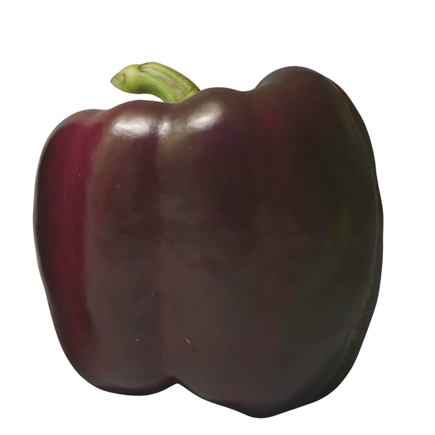 Purple Beauty Sweet Bell Pepper - 5 seeds