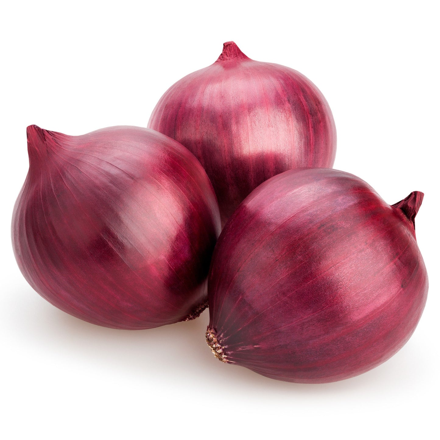 Red Creole Onion - 0.5 Gram
