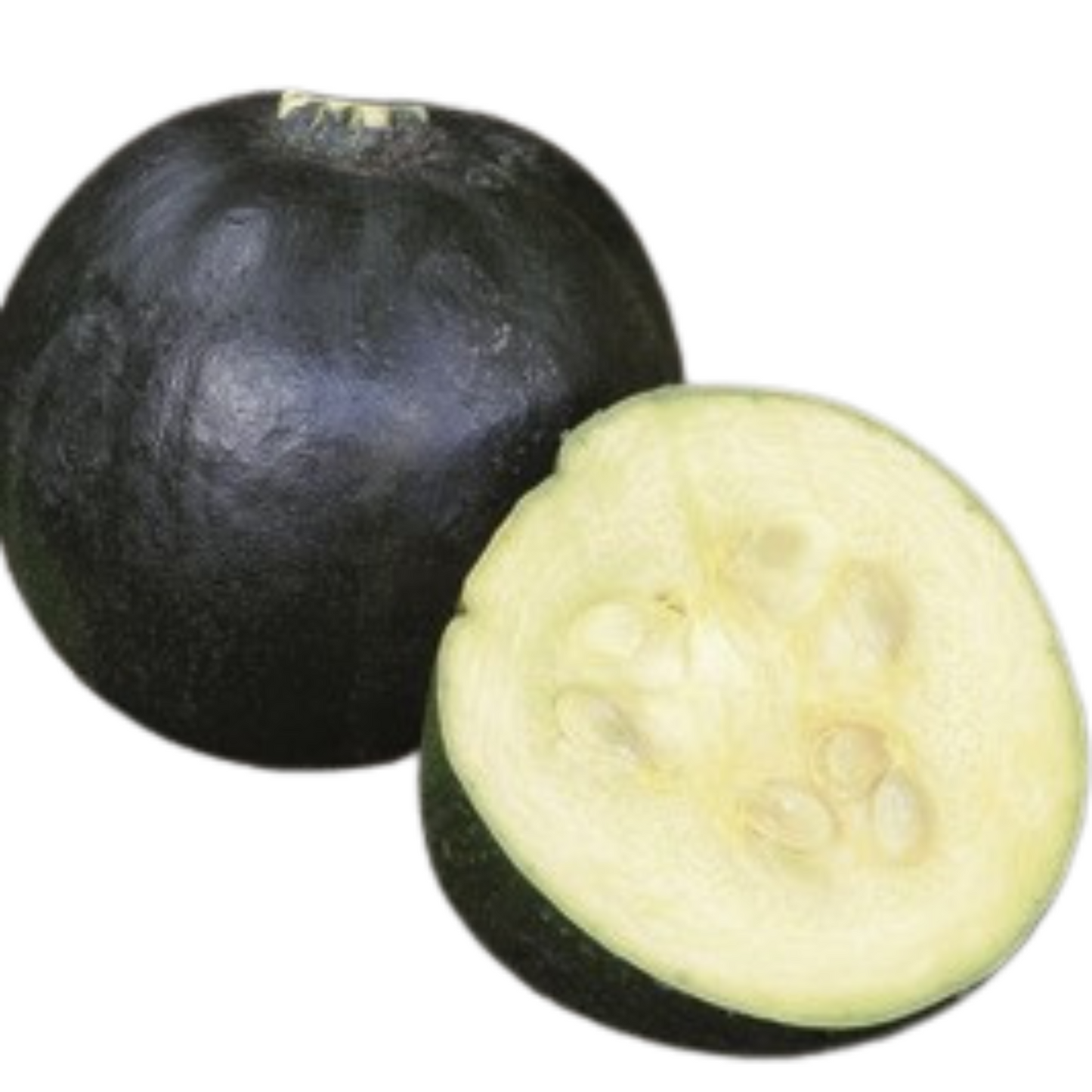 Gem Squash Rolet - 10 Seeds