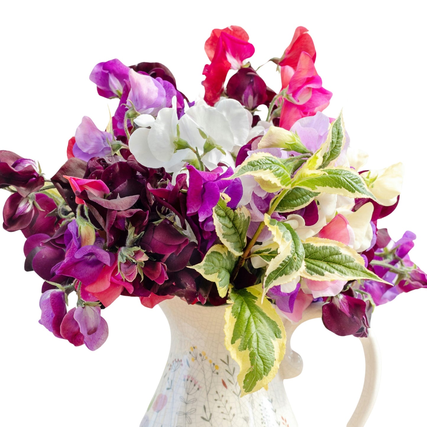 Sweetpea Bijou Mix - 5 seeds