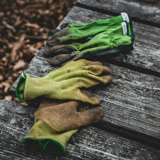 Healthy Soil, Bountiful Harvest