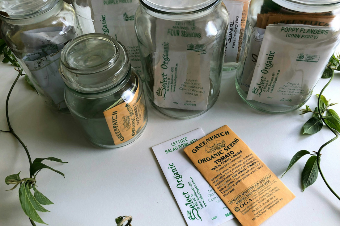 Essential Seed Storage Tips for Maximum Longevity