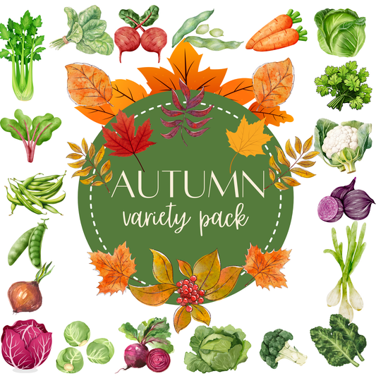 Autumn Vegetable Selection