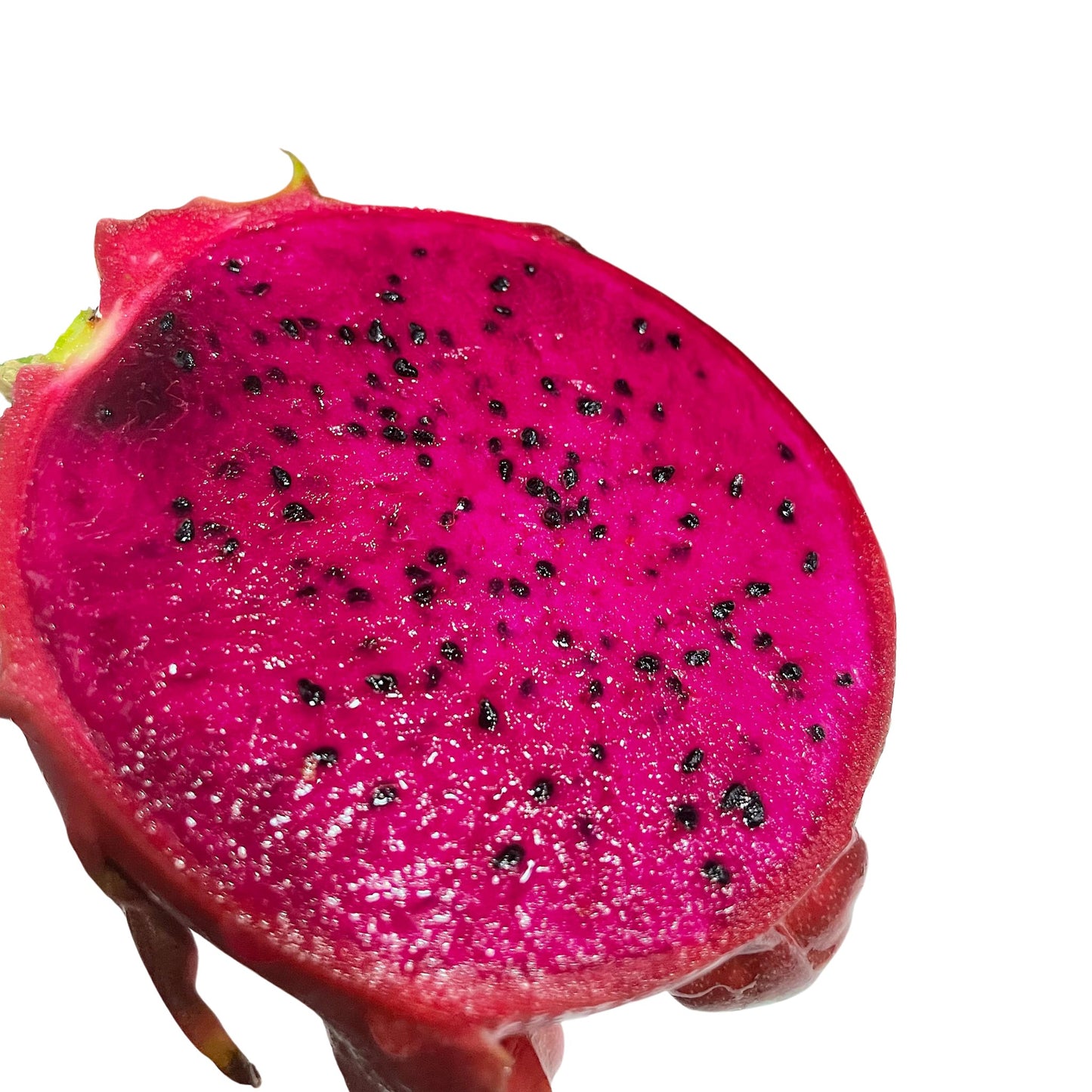 Dragon Fruit - American Beauty - 10 Seeds