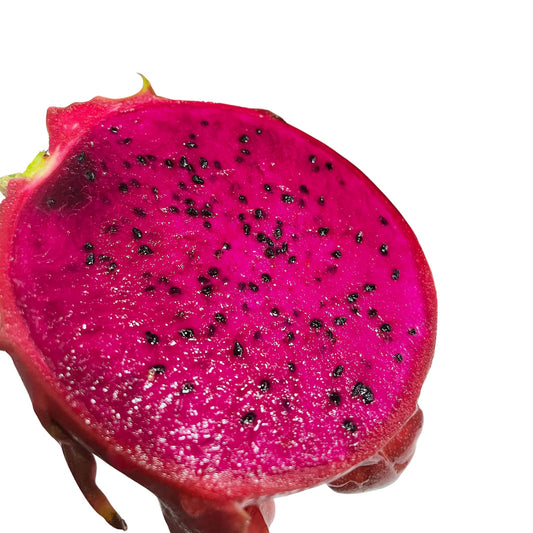 Dragon Fruit - American Beauty - 10 Seeds