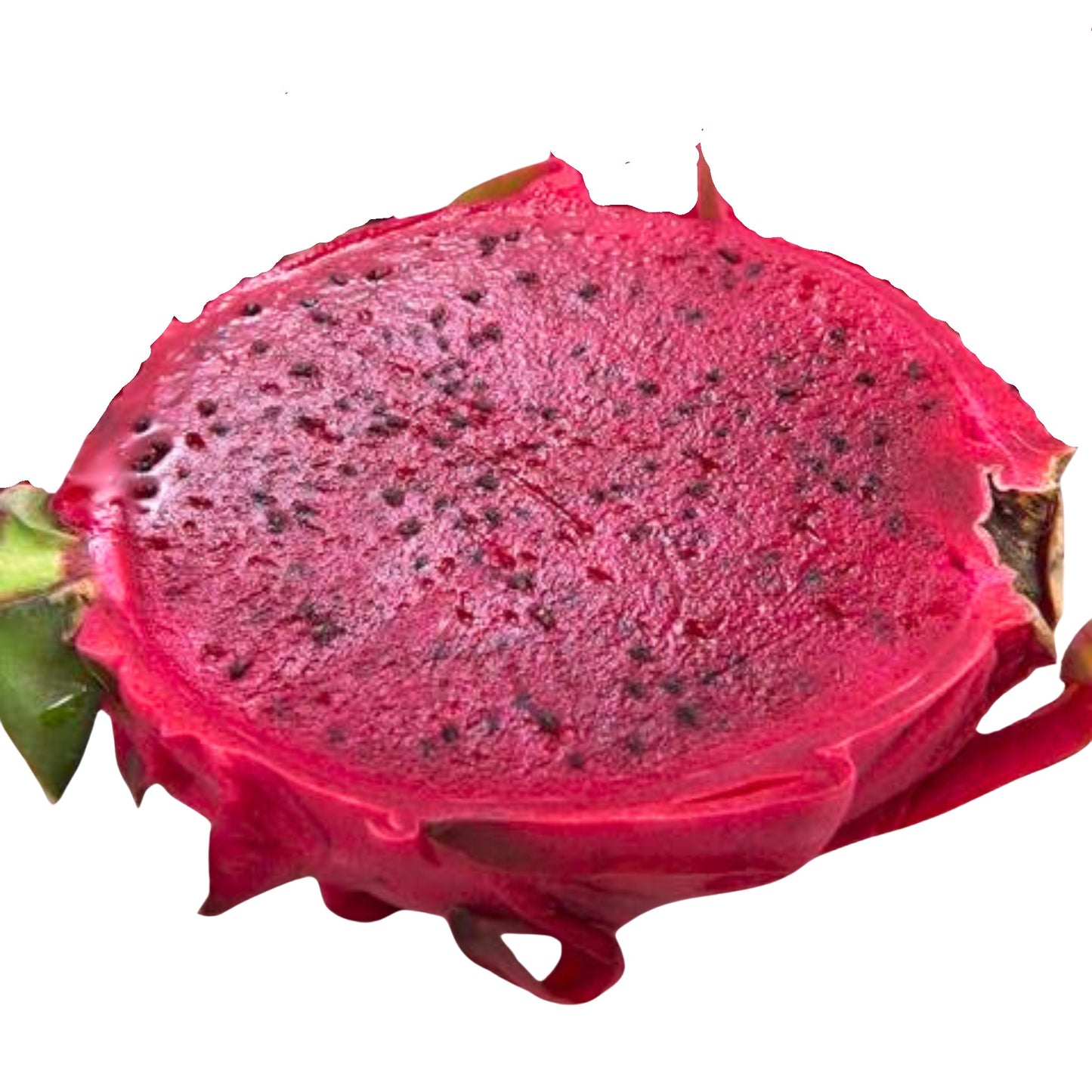 Dragon Fruit - Bloody Mary - 10 Seeds