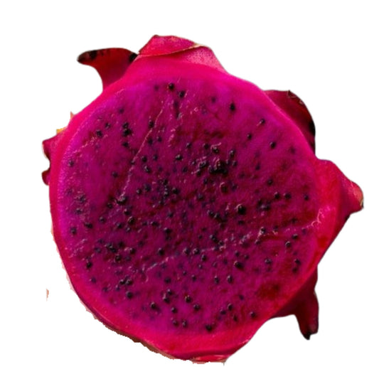 Dragon Fruit - Cosmic Charlie - 10 Seeds