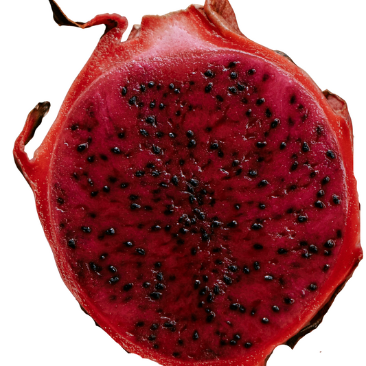 Dragon Fruit - Costa Rican Sunset - 10 Seeds