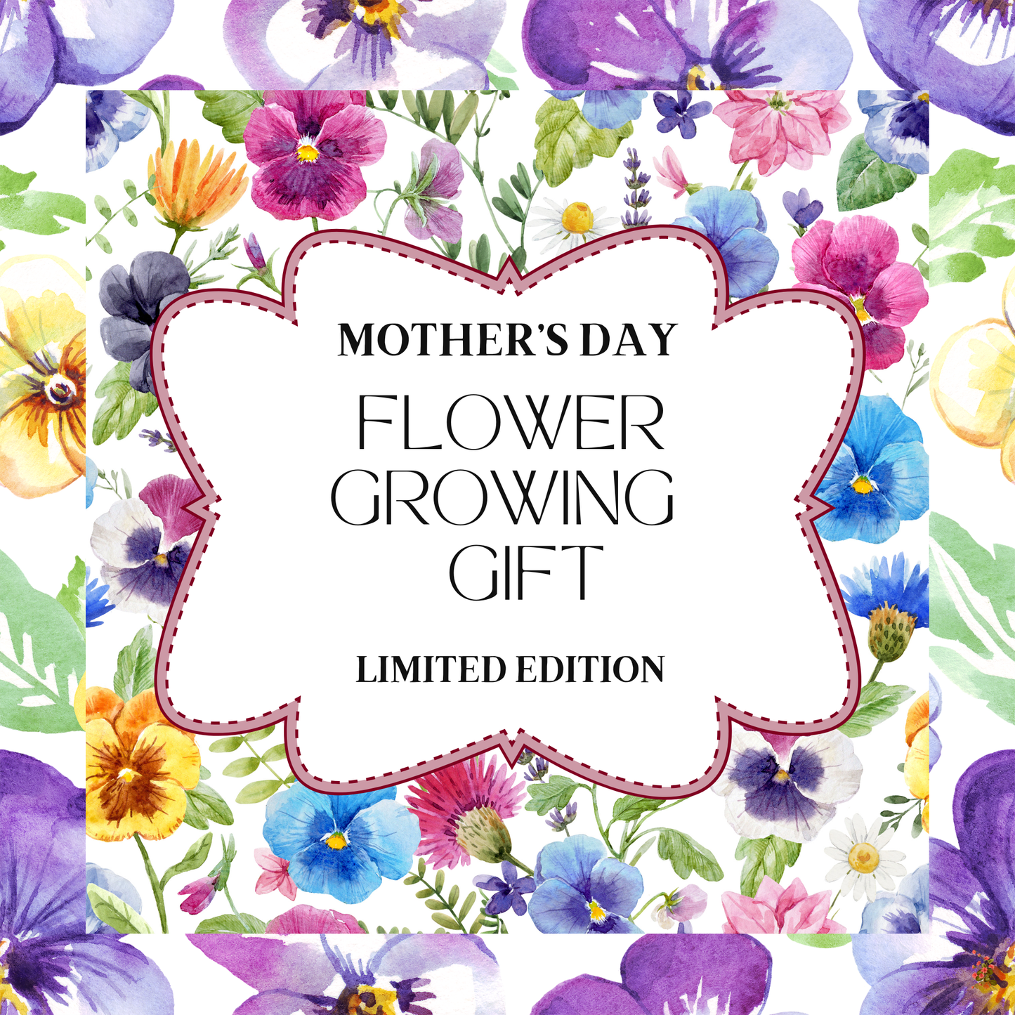 Limited Edition Mother's Day Flower Growing Kit