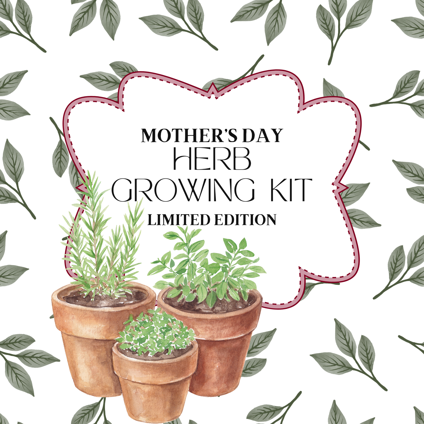 Limited Edition Mother's Day Herb Growing Kit