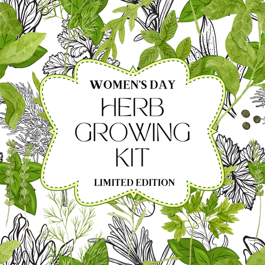 Limited Edition Women's Day Herb Growing Kit