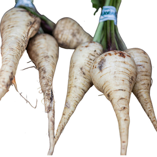 White Gem Parsnip - 0.1 gram