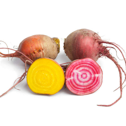 Rainbow Mix Beetroot - 50 Seeds