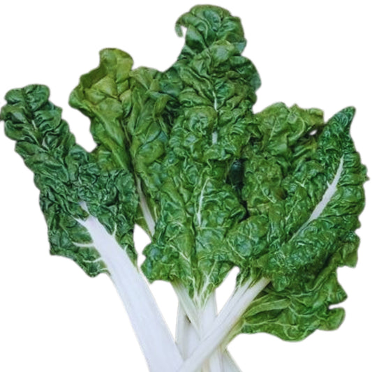 Spinach Beet  Lucullus - 10 Seeds