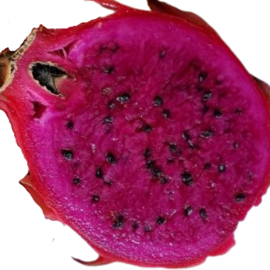 Dragon Fruit - Voodoo Child - 10 seeds