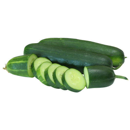 Ashley Cucumber - 20 Seeds