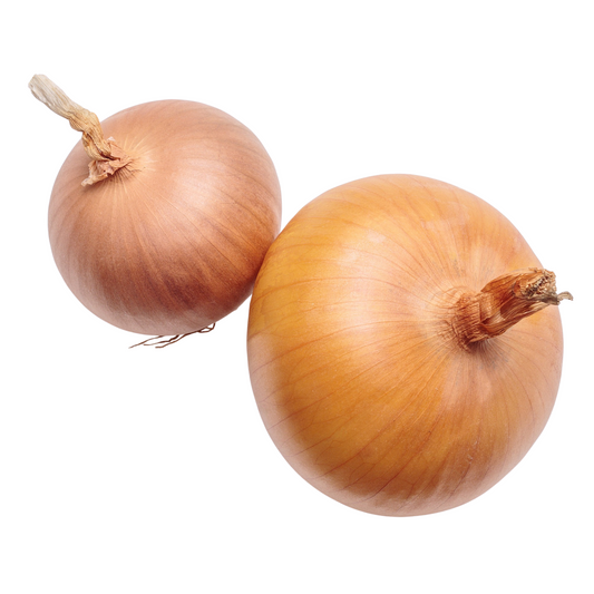 Australian Brown Onion - 0.5 gram