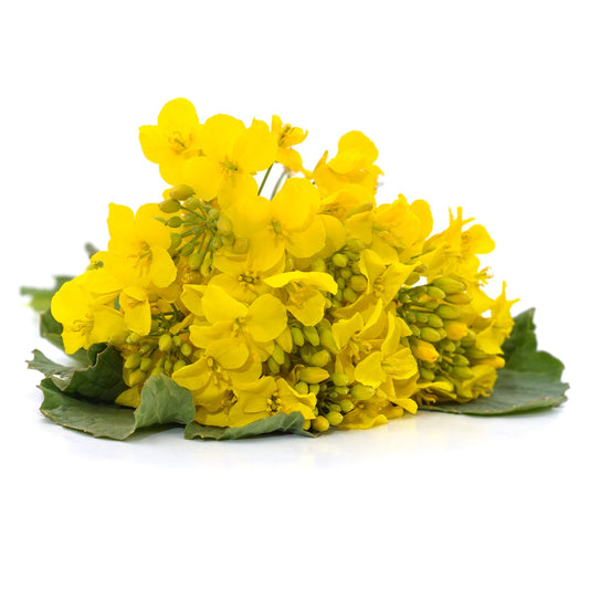 Mustard Black - 0.1 gram
