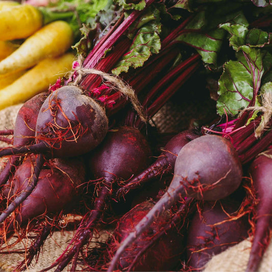 Bulls Blood Beetroot - 0.5 Gram
