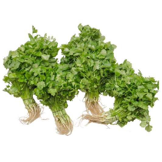 Coriander Slow Bolt - 20 Seeds