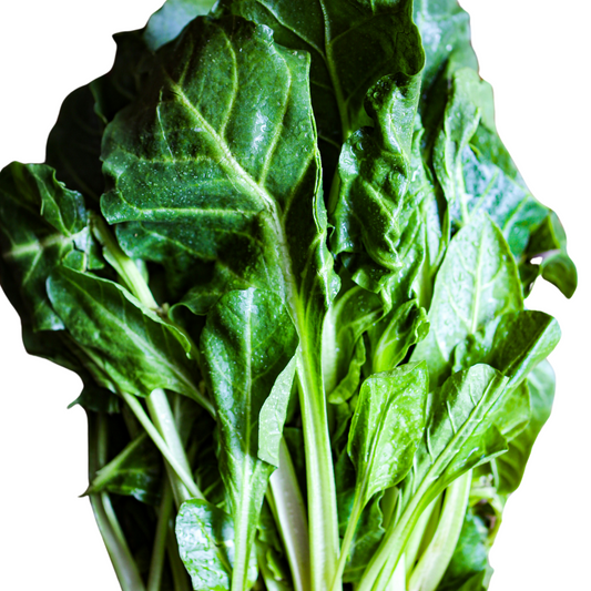 Spinach Swiss Chard - Fordhook Giant - 10 Seeds