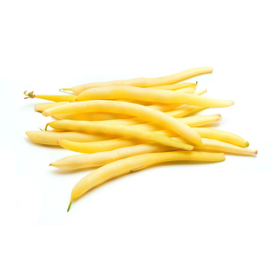Beans Berggold Dwarf - 10 Seeds