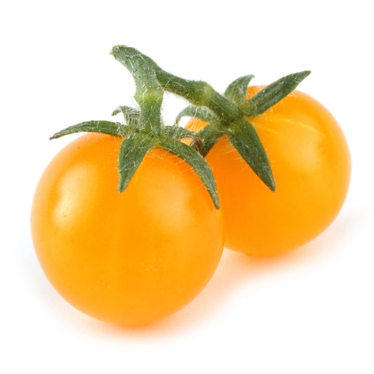 Gold Rush Currant Tomato - 5 Seeds