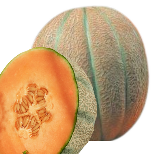 Hales Best Melon - 10 Seeds