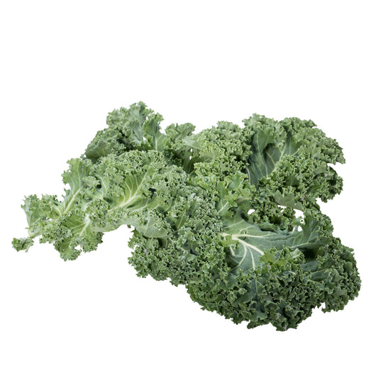 Kale Chou Moullier - 20 Seeds