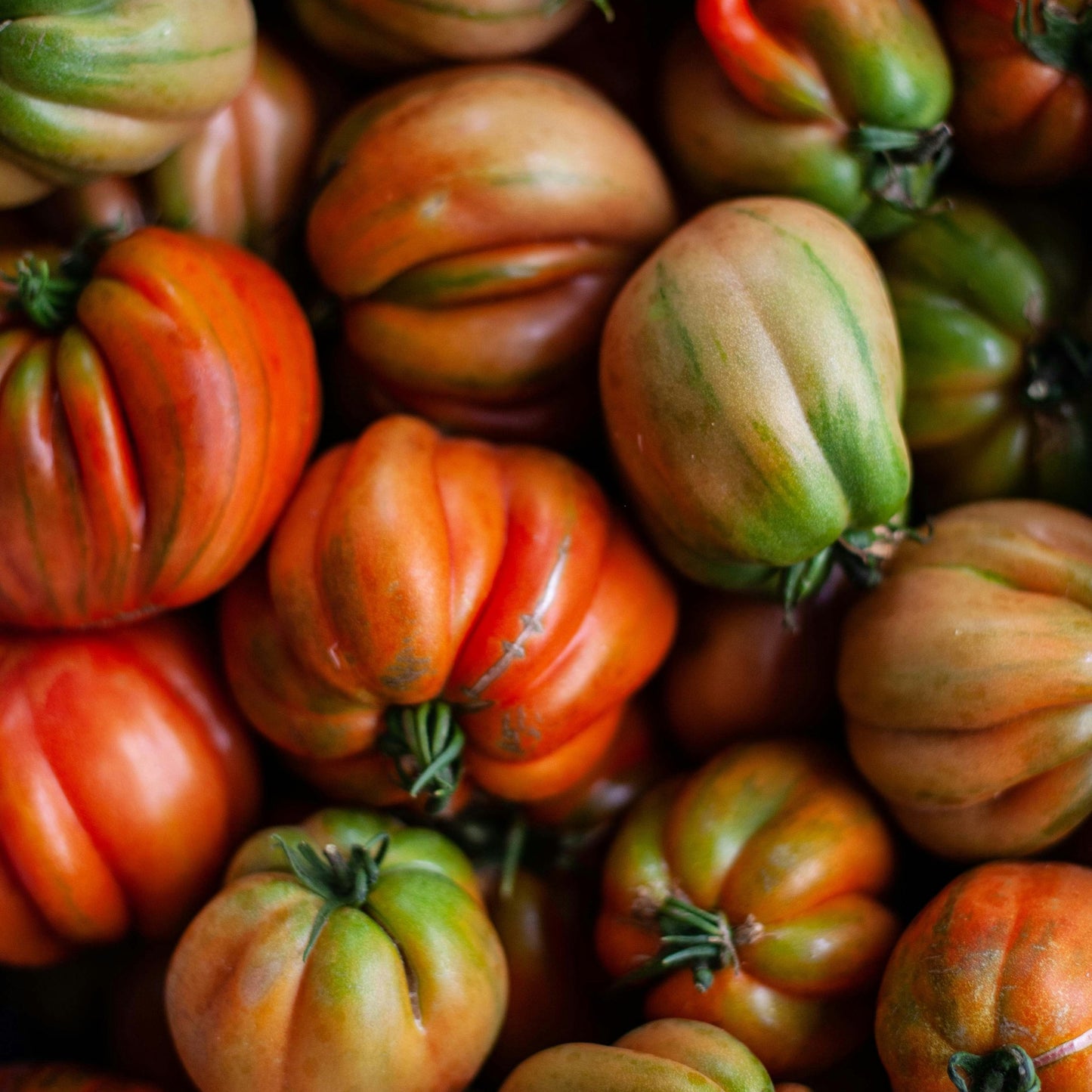 Oxheart Tomato - 10 Seeds