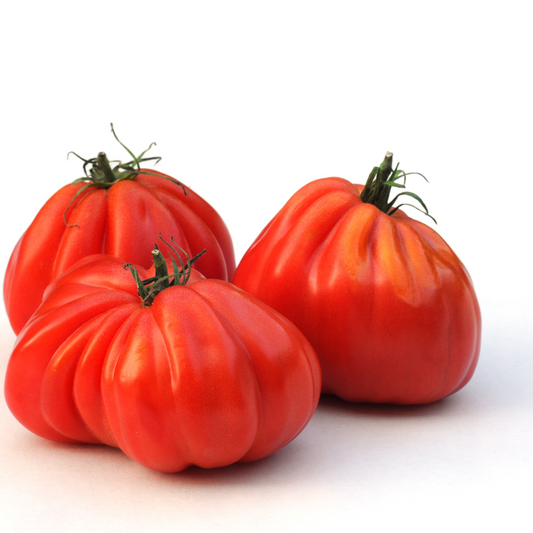 Oxheart Tomato - 10 Seeds