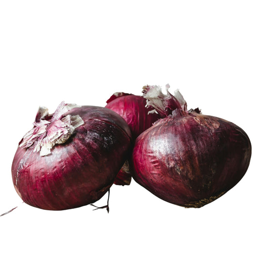Red Creole Onion - 0.5 Gram