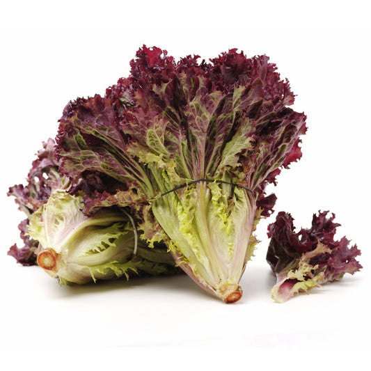Lettuce Lollo Rossa - 0.1 gram