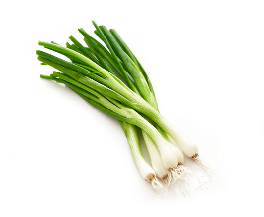 White Lisbon Spring Onion - 0.5 Gram