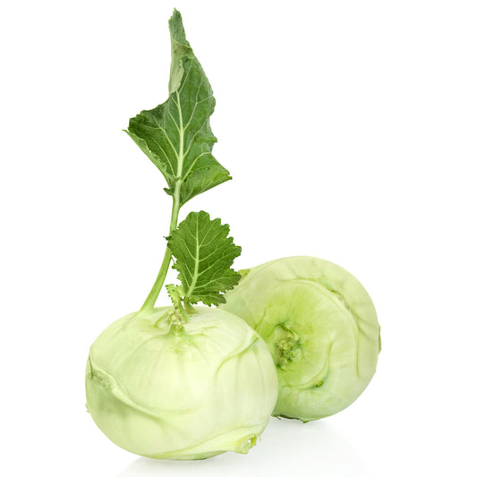 White Vienna Kohlrabi - 20 Seeds
